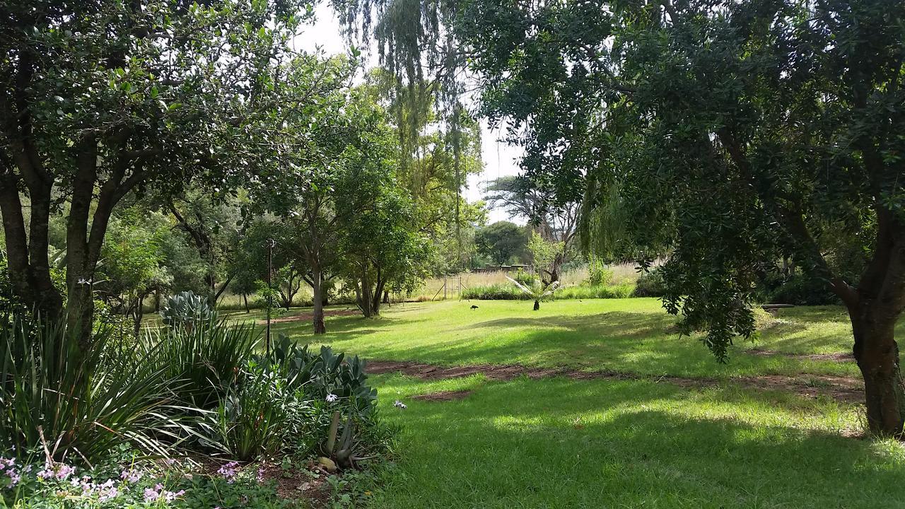 Amberhall Guesthouse Johannesburg Exterior foto